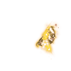 2.gif