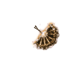 8.gif