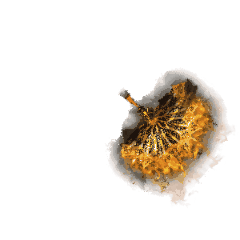 9.gif