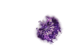 10.gif